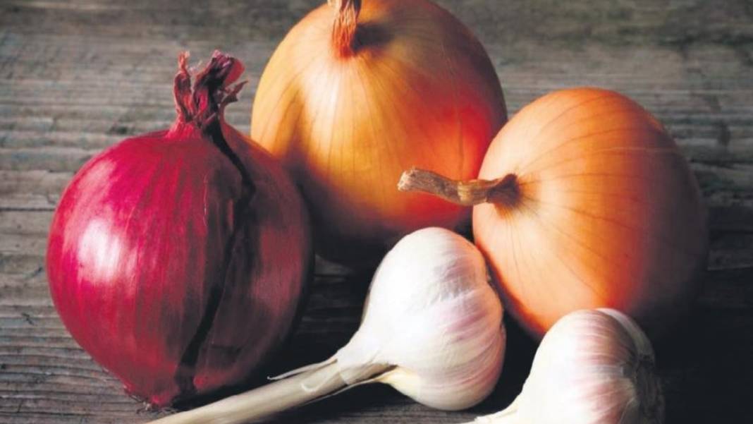 Bağışıklık Sistemini Güçlendirmek İsteyenler Dikkat! Topraktan Çıkıyor, Hastalıklara Karşı Savaş Açıyor 2